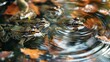 Frogs' chorus, pattern of sound waves, abstract pond life
