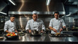 © rouda100 - Gourmet kitchen chefs