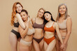 © Maria Vitkovska - Group portrait of beautiful multiethnic women wearing stylish lingerie embracing looking at camera