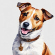© Patt - A jack russell dog, watercolor, profile picture