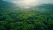 Lush green forest landscape with mist and rolling hills at sunrise, depicting serenity and the beauty of nature.