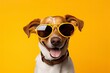 funny smile dog with sunglasses and copy space - generative ai