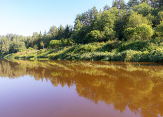 Wall Mural - beautiful morning on the river, shore and tree reflections in the water, Gauja river, Latvia