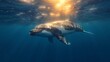  A majestic humpback whale gracefully glides beneath waves, bathed in golden sunlight