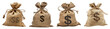 Money bag isolated, PNG set