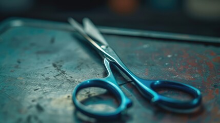 Poster - A pair of scissors sitting on a table, suitable for office or school related designs