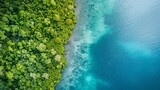 Fototapeta Panele - Aerial view of mangrove forest and sea.