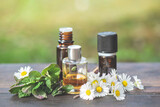Fototapeta Tulipany - bottles of essential oil and daisies with fresh mint leaf on a wooden table  outdoors