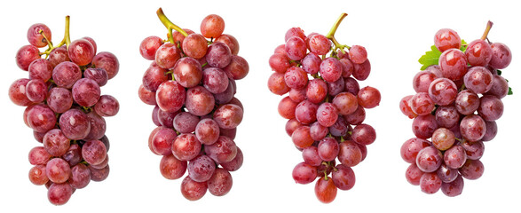 Canvas Print - Bunch of ripe red grapes isolated on transparent background.