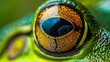 Macro shot of a frog's eye, capturing the intricate textures and patterns of its skin with intense clarity.