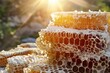 fresh honeycomb backlit by rising sun