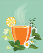 Cup of hot herbal tea, vector illustration