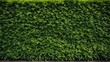 grass background  | grassy wall background | texture background