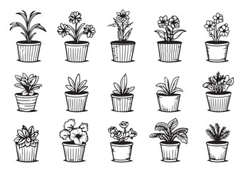 Poster - Vector set of sketches house plants in pots on a white background Vector illustration