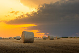 Fototapeta  - Hay bales in golden field at sunset.