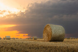 Fototapeta  - Hay bales in golden field at sunset.