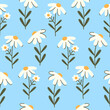 Seamless vector pattern with hand drawn chamomile flowers. Daisy background. Country cottagecore floral texture for wallpaper, wrapping paper, textile design