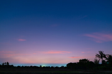 Wall Mural - blue and purple-pink sky at twilight with smooth clouds, darkness, and silhouetted coconut trees at 