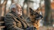 A Happy elderly man sitting peacefully on park bench with his loyal German Shepherd