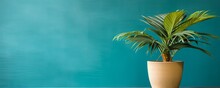 Potted Plant On Table In Front Of Turquoise Wall, In The Style Of Minimalist Backgrounds, Exotic