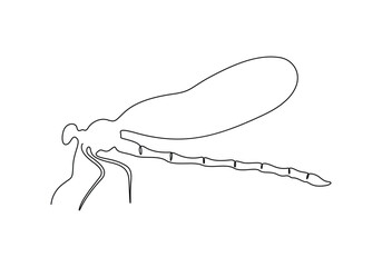 Fototapete - Continuous one line drawing of cute dragonfly vector illustration. Premium vector