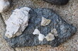 Zweierlei Steine,
two kinds of stone
