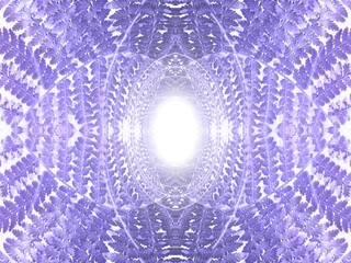 Poster - Background with symmetrical pattern of natural fern leaf pattern and effect of depth of space, rays in violet and white colors - abstract graphic. Topics: environment, abstraction, art computer
