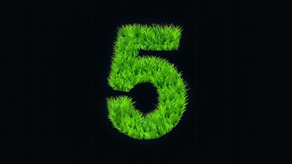 Wall Mural - Beautiful illustration of number 5 with green grass effect on plain black background