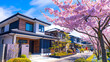Modern Japanese Houses 1