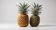 Pineapples on white background