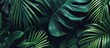 fresh green tropical leaves backgrounds and wallpapers