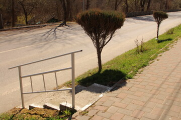 Wall Mural - A tree next to a road