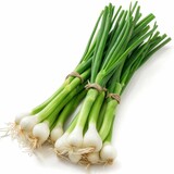 Fototapeta Do akwarium - Spring onions isolated on white background
