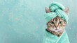 A tabby cat with striking eyes wrapped in a green towel with turban set against a teal background with snow effect