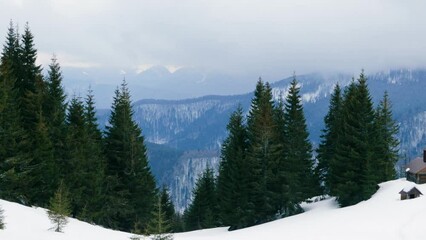 Wall Mural - strong snow blizzard in winter, Carpathians, Ukraine Orthodox church on top of the mountain. coniferous forests, snow flies like a storm in front of the viewer, covering the mountain valley