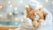 Domestic ginger tabby cat wrapped in a white towel, enjoying a peaceful spa experience with soft, warm lights in the background