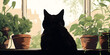 © Aleey - HD  wallpaper ,a silhouette of a cat behind a curtain looking out of window ,Black cat looking through window hi-res stock photography and images
