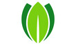 green leaf icon vector logo