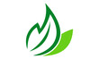 simple green leaf icon logo