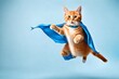 cat flying with blue background
