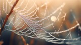 Fototapeta Las - Glistening Jewels: A Captivating Portrait of a Delicate Spider's Web Adorned with Sparkling Water Droplets Against a Serene Background