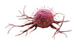 © TakoyakiAI - Cancer Cells on Transparent White Background. 3d illustration.