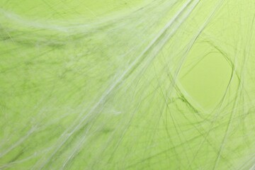 Wall Mural - Creepy white cobweb hanging on green background