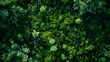 Top view of a mossy forest floor, broad copy space, no text, no logo, no brand, no letters, Cinematic, earthy tones, wallpaper style, master piece, background, photorealistic