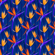 Tropical flower seamless pattern with modern yellow, orange color strelitzia, on blue leaves background, hand drawing illustration