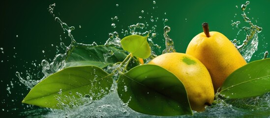 Poster - Fresh ripe pears submerged in a container of clear green water, surrounded by vibrant green leaves in a refreshing and natural setting