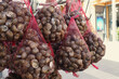 escargot edible land snails packed in netting bags for sale at street market