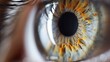 Eye examination and eye diseases
