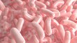 This is a 3D illustration depicting soft pink probiotic bacteria in a light and airy composition, suitable for health and wellness topics.