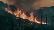 Intense flames consume trees in a forest fire, with towering smoke and charred landscape illustrating a powerful natural disaster